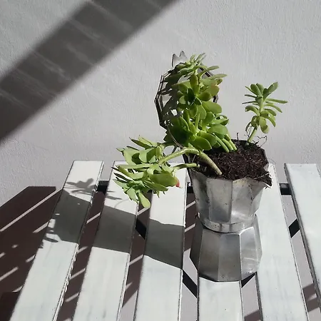 The Church Bed & Breakfast Naples